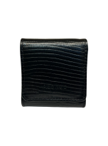 U031 013 NEGRO