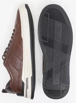 240601 NATURAL 4