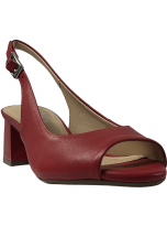 S12051 ROJO.2